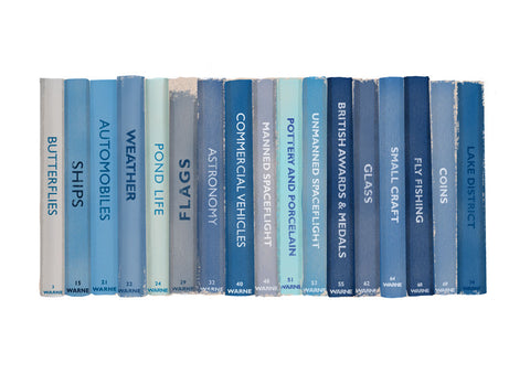 Blue Observer book collection, limited-edition, Giclee print